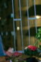 1YwdopIm9WWzznpEtPQfkG9pgks-152x228-1