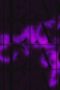 ArJxxbZ0hIp8Z6SiGrqL6CPpIWJ-152x228-1